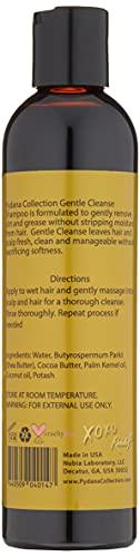 Gentle Cleanse Shampoo