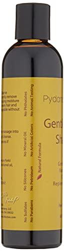 Gentle Cleanse Shampoo