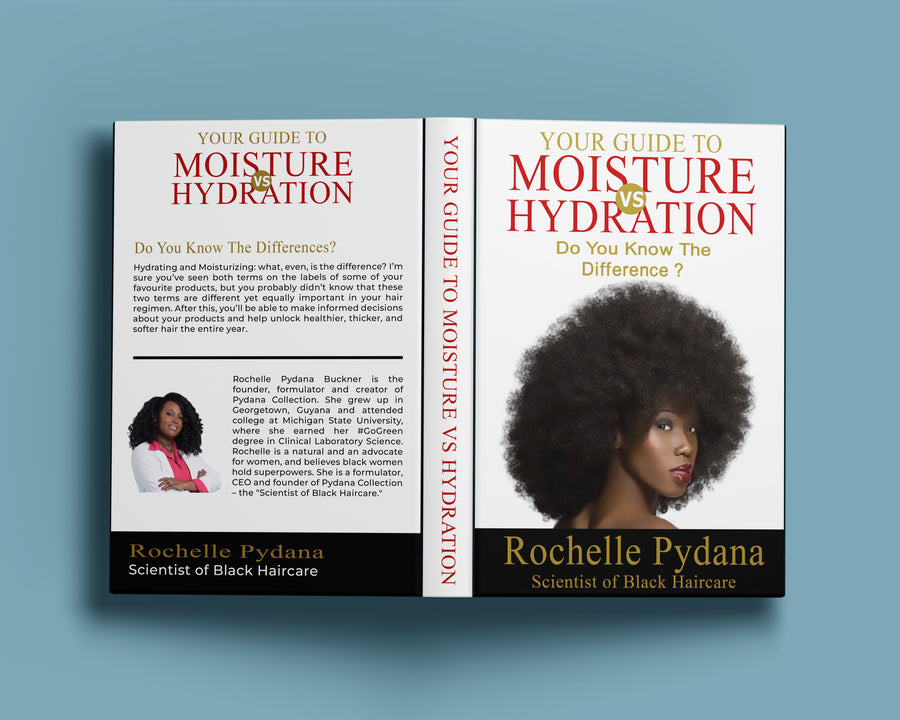 The Difference Between Hair Hydration and Moisture ebook for natural hair, dry curly hair, moisture retention, hair porosity and LOC method